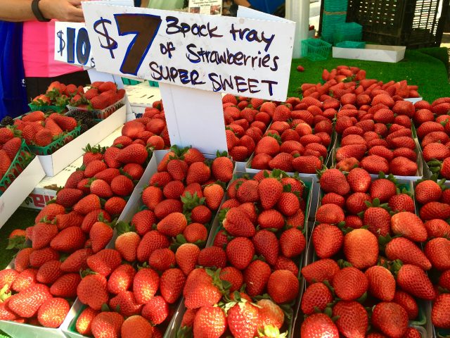 The Colors & Flavors of the Leucadia Sunday Farmers Market