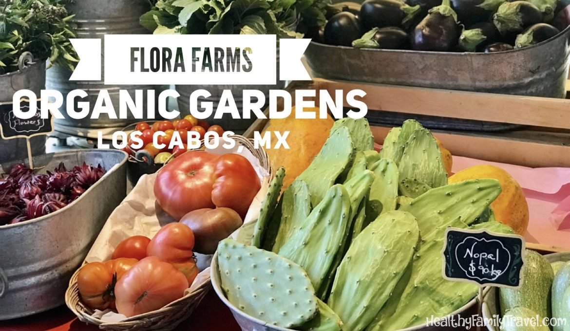 Flora Farms Organic Gardens in San Jose del Cabo (Los Cabos), Mexico