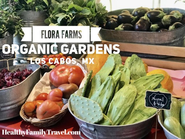 Flora Farms Organic Gardens in San Jose del Cabo (Los Cabos), Mexico